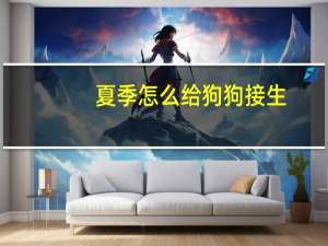夏季怎么给狗狗接生