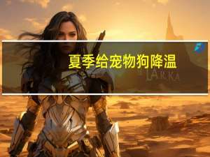 夏季给宠物狗降温