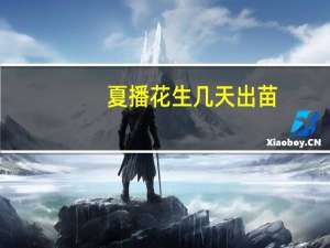 夏播花生几天出苗