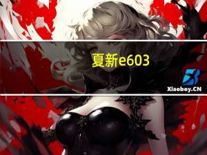 夏新e603（夏新e603）