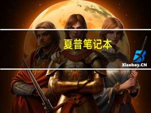 夏普笔记本（夏普笔记本质量如何哪几个品牌笔记本性价比高）