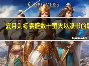 夏月则练囊盛数十萤火以照书的意思