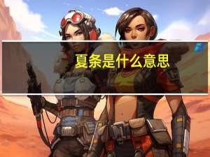 夏条是什么意思