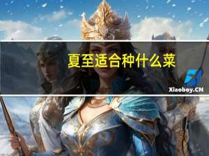 夏至适合种什么菜