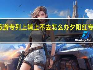 夕阳红旅游专列上辅上不去怎么办 夕阳红专列老年旅游团