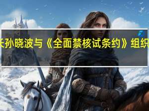 外交部军控司司长孙晓波与《全面禁核试条约》组织执行秘书弗洛伊德会谈