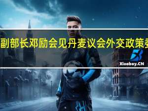 外交部副部长邓励会见丹麦议会外交政策委员会代表团