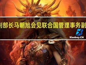 外交部副部长马朝旭会见联合国管理事务副秘书长波拉德