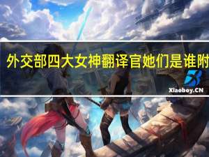 外交部四大女神翻译官 她们是谁附资料