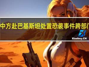 外交部回应中方赴巴基斯坦处置恐袭事件 跨部门工作组紧急行动