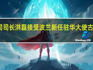 外交部礼宾司司长洪磊接受波兰新任驻华大使古天卫递交国书副本
