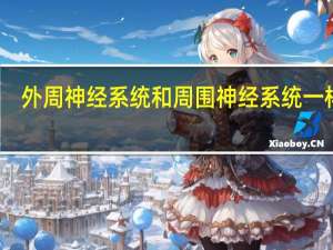 外周神经系统和周围神经系统一样吗（外周神经系统）