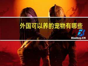 外国可以养的宠物有哪些