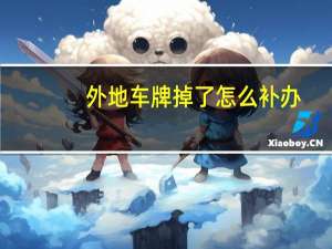 外地车牌掉了怎么补办