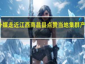 外媒走近江西南昌县 点赞当地集群产业发展
