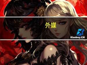 外媒：法国总统马克龙称法国驻尼日尔大使已被扣为人质