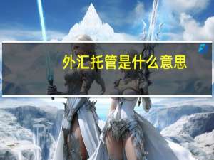 外汇托管是什么意思