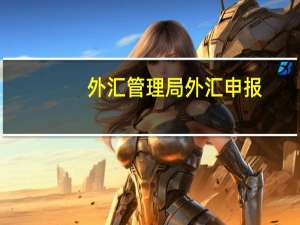 外汇管理局外汇申报（外汇管理局网上申报）