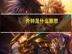 外特是什么意思