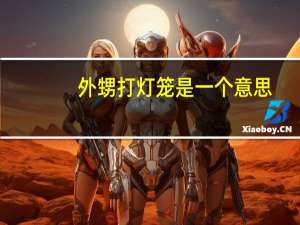 外甥打灯笼是一个意思(舅舅)