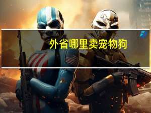 外省哪里卖宠物狗