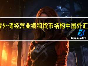 外管局首次披露外储经营业绩和货币结构 中国外汇储备规模占全球近30%