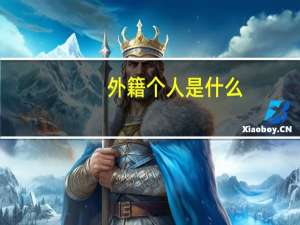 外籍个人是什么