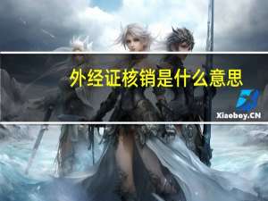 外经证核销是什么意思