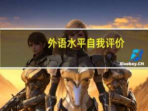 外语水平自我评价（外语水平）