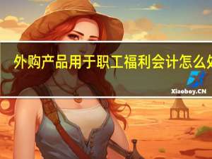 外购产品用于职工福利会计怎么处理