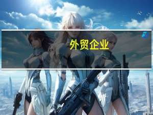 外贸企业（外贸企业）