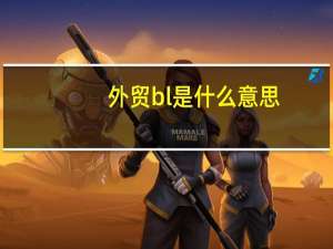 外贸bl是什么意思