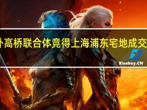 外高桥联合体竞得上海浦东宅地成交价为22.5亿元