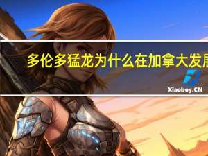 多伦多猛龙为什么在加拿大发展（多伦多猛龙为什么在加拿大）