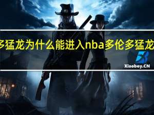 多伦多猛龙为什么能进入nba 多伦多猛龙队球员阵容