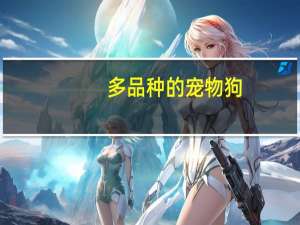 多品种的宠物狗