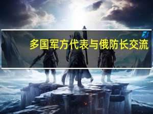 多国军方代表与俄防长交流