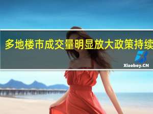 多地楼市成交量明显放大 政策持续优化