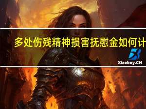 多处伤残精神损害抚慰金如何计算