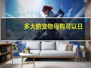 多大的宠物母狗可以日
