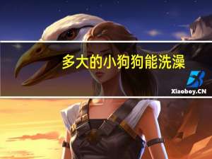 多大的小狗狗能洗澡