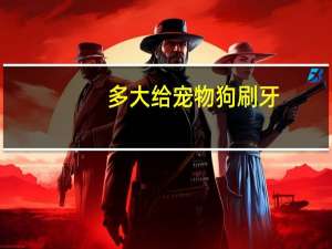 多大给宠物狗刷牙