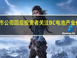 多家上市公司回应投资者关注BC电池产业化前景受青睐