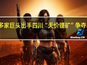 多家巨头出手 四川“天价锂矿”争夺战落幕