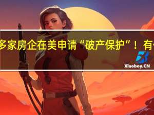 多家房企在美申请“破产保护”！有何影响？权威解读来了