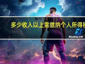 多少收入以上需缴纳个人所得税