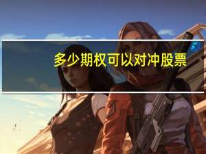 多少期权可以对冲股票
