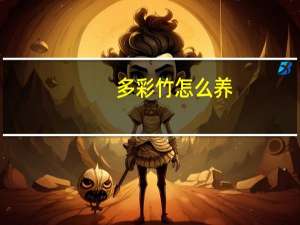 多彩竹怎么养