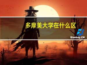 多摩美大学在什么区