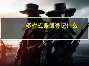 多栏式账簿登记什么